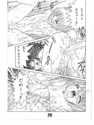 [塩屋 (塩屋舞子)] SHIO!re vol.1 (カードキャプターさくら) [DL版]_29