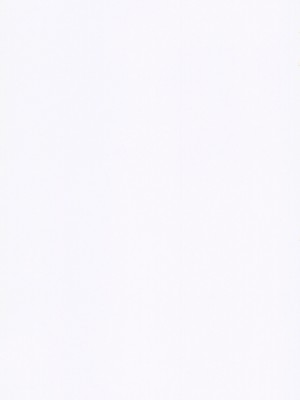 (C101) [ILD CAT (弥猫うた)] 不思議の部屋のありす (アイドルマスター シンデレラガールズ)｜在不可思議房間的愛麗絲 [中国翻訳]_45