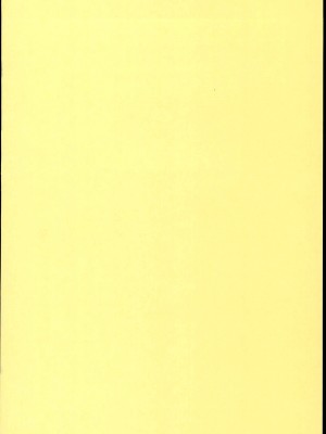 (C85) [しおのや (おしお)] ツインテールなあの子のヒミツ。｜双马尾孩子的秘密 [白杨汉化组]_04