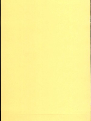 (C85) [しおのや (おしお)] ツインテールなあの子のヒミツ。｜双马尾孩子的秘密 [白杨汉化组]_03