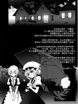 (例大祭11) [くまたんFlash! (はなぉ)] Concern (東方Project)&nbsp;&nbsp;[甜族星人x我不看本子汉化]_04