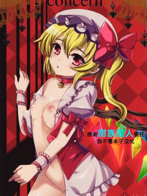 (例大祭11) [くまたんFlash! (はなぉ)] Concern (東方Project)&nbsp;&nbsp;[甜族星人x我不看本子汉化]_01