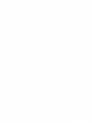 (C102) [Planet Matier (やまもとかんぽに)] 繋がれ仔犬と奔放仔兎 (絶対純白・魔法少女)_03