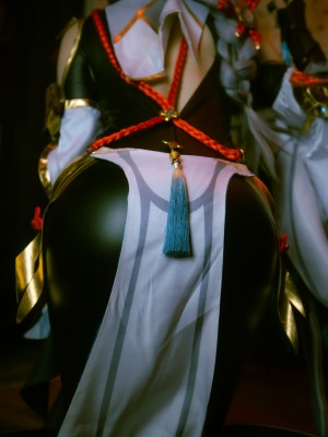 原神 申鶴・甘雨ROM_202