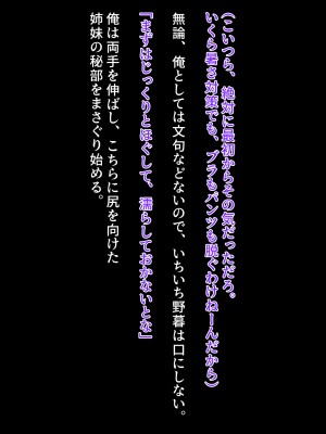 [クレージュアクセル] 続・姉妹ノ楽園～俺の事が大好きすぎる爆乳姉妹とドスケベ合法子作り性活～_686