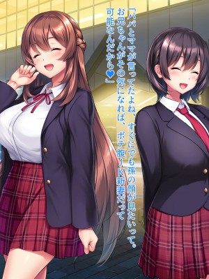 [クレージュアクセル] 続・姉妹ノ楽園～俺の事が大好きすぎる爆乳姉妹とドスケベ合法子作り性活～_125