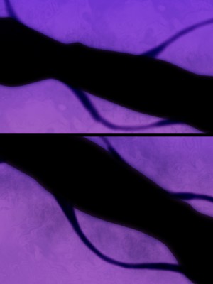 [星井工房] 輝装星姫アステリア2 逆心の偽愛堕焉 [村长个人汉化][RJ423147]_564