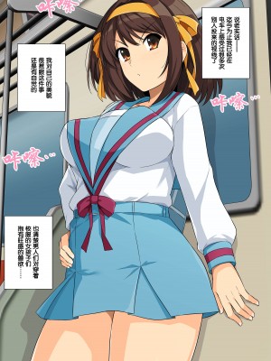 [haruhisky] 涼宮ハルヒの最終痴〇電車 (涼宮ハルヒの憂鬱) [Rogan个人翻译]_19