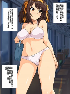 [haruhisky] 涼宮ハルヒの最終痴〇電車 (涼宮ハルヒの憂鬱) [Rogan个人翻译]_03