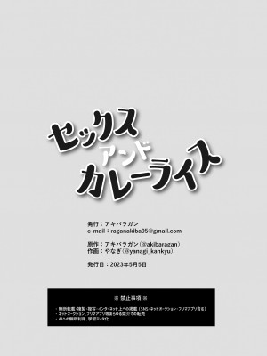 [アキバラガン (やなぎ)] セックスアンドカレーライス [DL版]_18