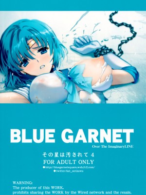 (C103) [ブルーガーネット (芹沢克己)] その星は汚されて4 (美少女戦士セーラームーン) [魔法汉化组]_18