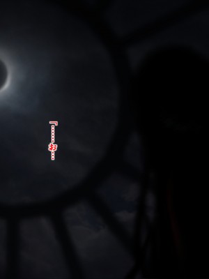 [ガチ輪] 黒 ～躾廻ノ夜～ (零 ～月蝕の仮面～) 水着篇 [配菜機翻漢化組]_296