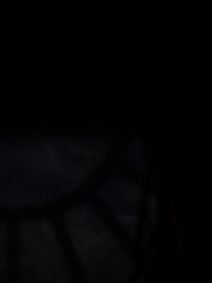 [ガチ輪] 黒 ～躾廻ノ夜～ (零 ～月蝕の仮面～) 水着篇 [配菜機翻漢化組]_297