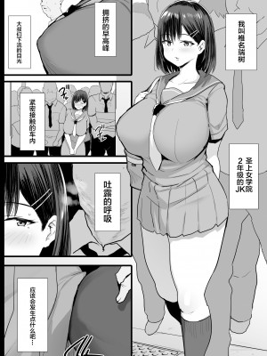 [ジャックとニコルソン (のりパチ)] 肉便器願望JK。+ 私が路銀を稼ぎます。 (葬送のフリーレン) [中国翻訳] [DL版]_03