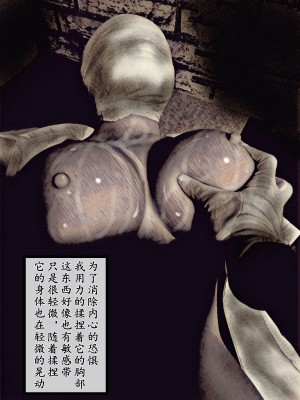 [バルサン] 廃病院の怪物 (サイレントヒル Silent Hill)｜廢棄醫院的怪物 [K記翻譯]_00000014