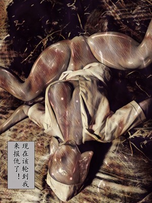 [バルサン] 吸精の廃墟 (サイレントヒル Silent Hill )｜吸精的廢墟 [K記翻譯]_00000037