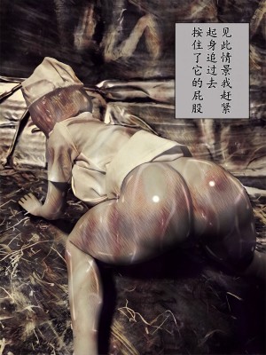 [バルサン] 吸精の廃墟 (サイレントヒル Silent Hill )｜吸精的廢墟 [K記翻譯]_00000058