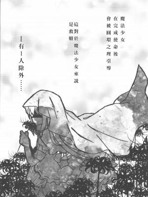 (C102)[あおのひよこ (おがわしら)] モノクロームゲーム (魔法少女まどか☆マギカ) [海珀珍漢化組]_02