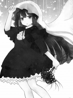 (C102)[あおのひよこ (おがわしら)] モノクロームゲーム (魔法少女まどか☆マギカ) [海珀珍漢化組]_18