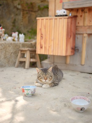 [Inkyung] Artgravia Vol.401_p34