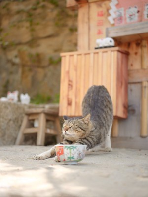 [Inkyung] Artgravia Vol.401_p39