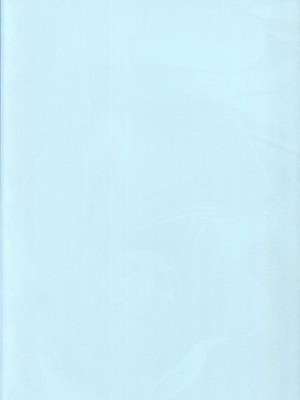 (C102) [かずみ屋 (有栖かずみ)] ノノミ 真っ盛り☆ (ブルーアーカイブ)_02