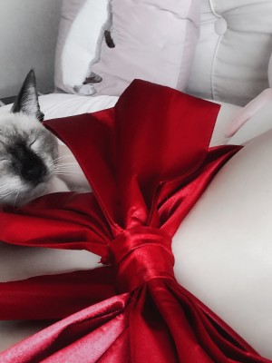 恶犬 - 礼物套_026