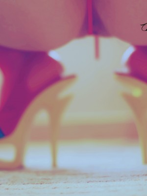 蕾丝兔宝宝 - 情趣红网袜_053