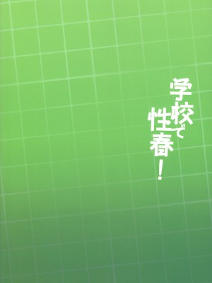 (C97) [乙女気分 (三色網戸。)] 学校で性春! 17 (オリジナル)_030