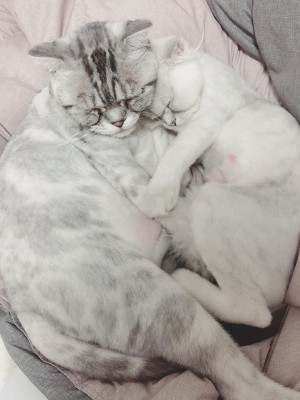 [Inkyung] Deleted Instagram 3_p516