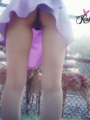 蕾丝兔宝宝 - 紫色裙子_037