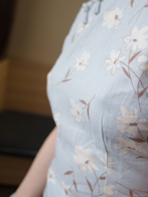 西尔酱 - 兰草旗袍_012