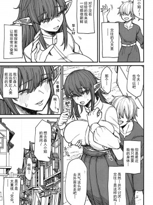 (C103) [キレイナブタ(ぶたちゃんぐ)] 異世界の女たち6.0 [禁漫天堂x灰羽社] [水印]_13_00013
