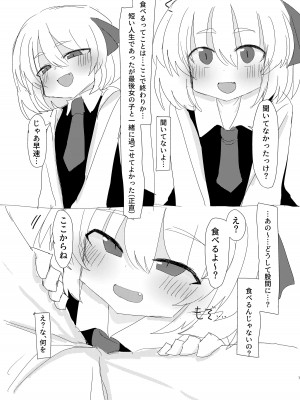 [空腹精心 (空腹)] るーみあちゃんと一緒 (東方Project) [DL版]_07