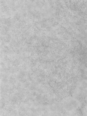 (C103) [エス書店 (さんい)] リトルバイリトル (アイドルマスター シャイニーカラーズ)_02