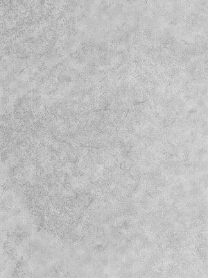 (C103) [エス書店 (さんい)] リトルバイリトル (アイドルマスター シャイニーカラーズ)_03