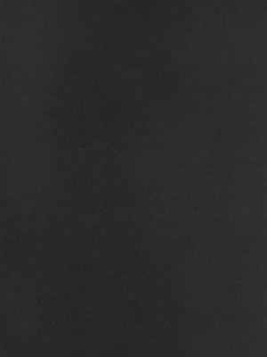 (こみトレ40) [あらくれた者たち (あらくれ)] パンパパン (ダンダダン)_18