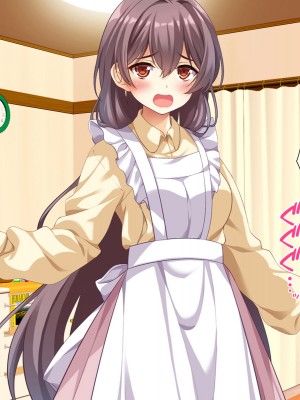 (同人CG集) [スクランブルミートボール] ふしだらなお母さんでごめんなさい〜俺のカノジョは彼女の母親〜_015