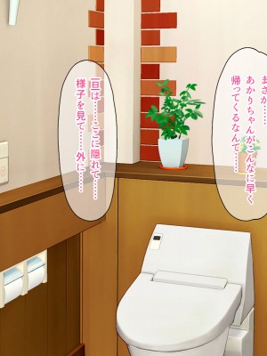 (同人CG集) [スクランブルミートボール] ふしだらなお母さんでごめんなさい〜俺のカノジョは彼女の母親〜_211