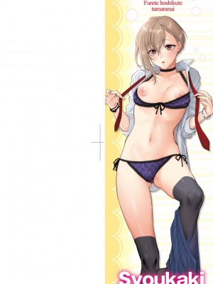 [消火器] ふれてほしくて たまらない [中国翻訳] [無修正] [DL版]_003