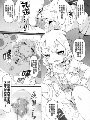 (C103) [新玉砕本舗 (鵜飼とうふ)] あなたは豚かしらそれとも便器？ [臭鼬娘漢化組]_19