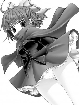 [世捨人な漫画描き (ともきとものり)] 路地裏乱交会へようこそ!ver2.0 (東方Project)｜欢迎来到小巷深处的乱交大会! [白杨汉化组] [DL版]_03