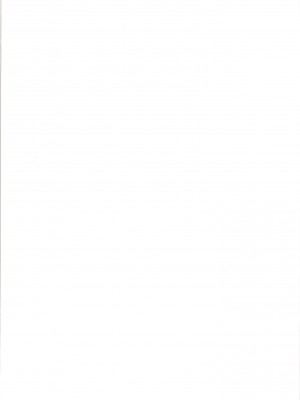 [かたまり屋 (しなま)] 暴食!!犬メイド (Fate／Grand Order) [DL版]_02