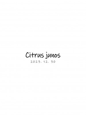 [Citrus junos (ゆーね)] ホシノと恋人になったから即セックス(ブルーアーカイブ) [中国翻译] [DL版]_24