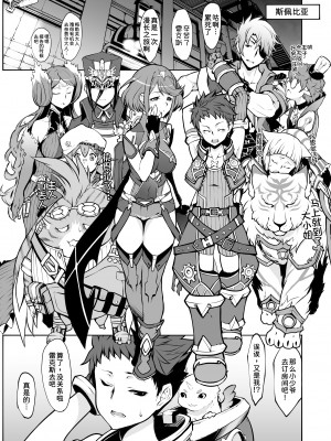 [白い闇 (k-you)] Twin Grail (ゼノブレイド2) [DL版] [甜族星人x我不看本子汉化]_03