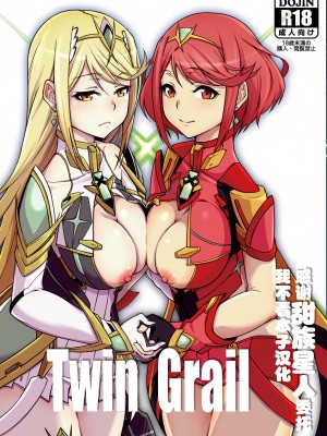 [白い闇 (k-you)] Twin Grail (ゼノブレイド2) [DL版] [甜族星人x我不看本子汉化]_01