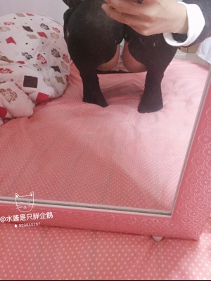 水酱是胖企鹅 - 猫猫上衣_017