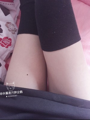 水酱是胖企鹅 - 猫猫上衣_021