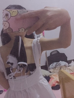 水酱是胖企鹅 - 女仆_010