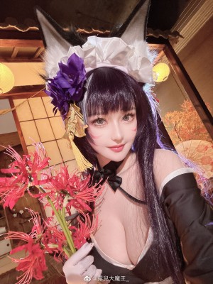 [露兒大魔王] 碧蓝航线武藏_19